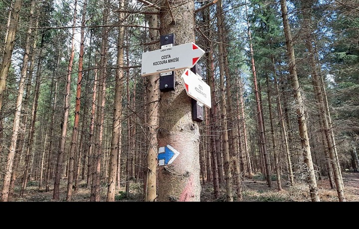 Cesta kocoura Mikeše