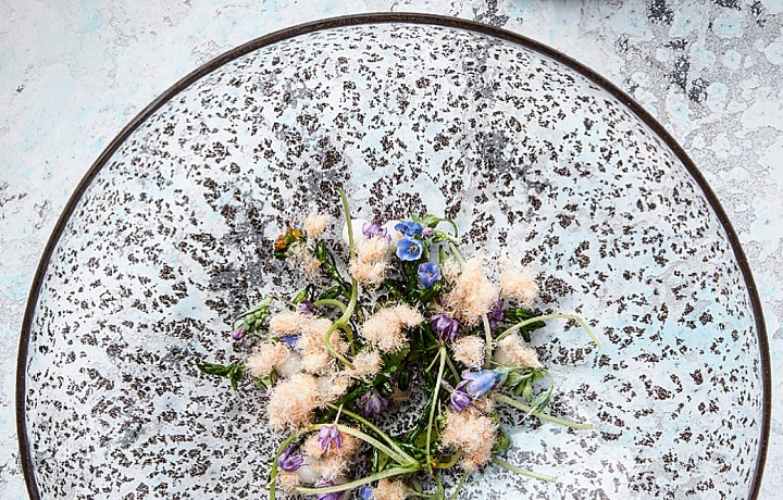 Geranium prezentuje své umění