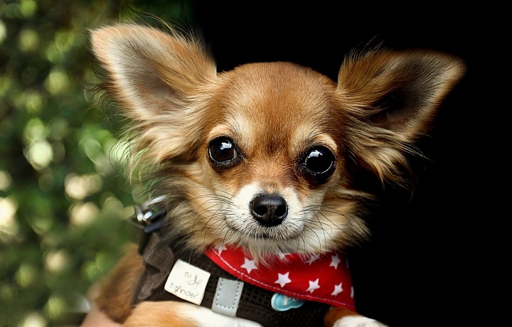 No není rozkošný?