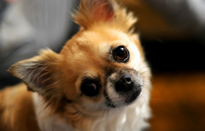 Ten pohled mluví za vše...