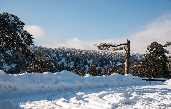 Kypr Pohoří Troodos