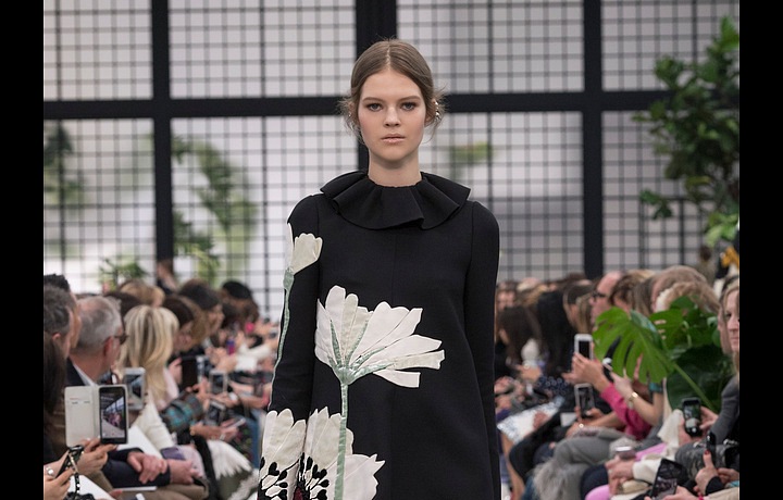 Rozkvetlá květinová zahrada Valentino