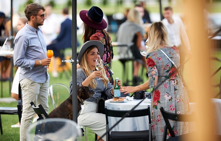 Čeká vás zábavný den s příteli