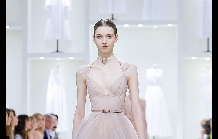 Transparentní modely odhalují snad vše