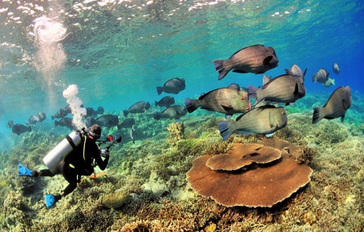 Potápění na ostrově Sabah 