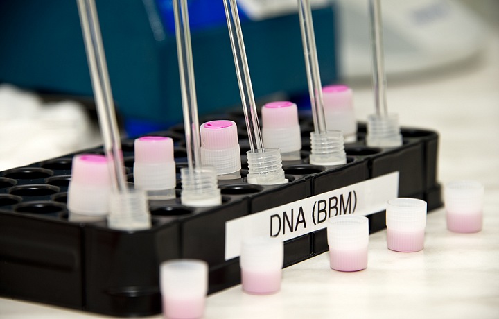 Pipety ve zkumavkách