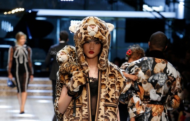 DG Fall/Winter 2017-2018