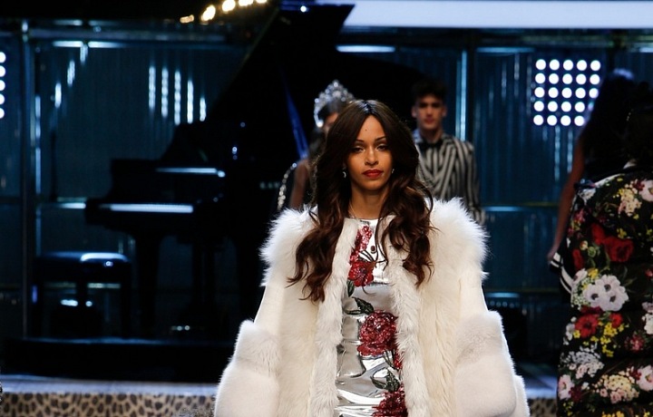 DG Fall/Winter 2017-2018