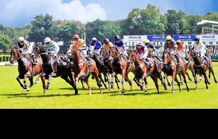 Dostihy Velká Chuchle 