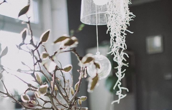 Neuvěřitelná práce Květinového lahůdkářství