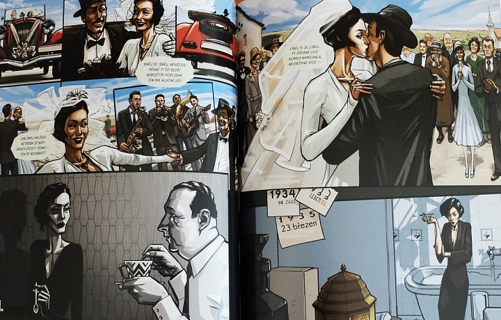 Balada Holoubek, ilustrace:Petr Holman