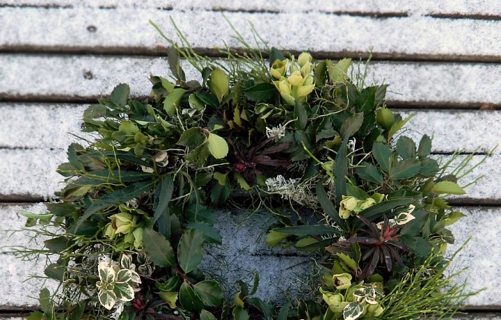 Neuvěřitelná práce Květinového lahůdkářství