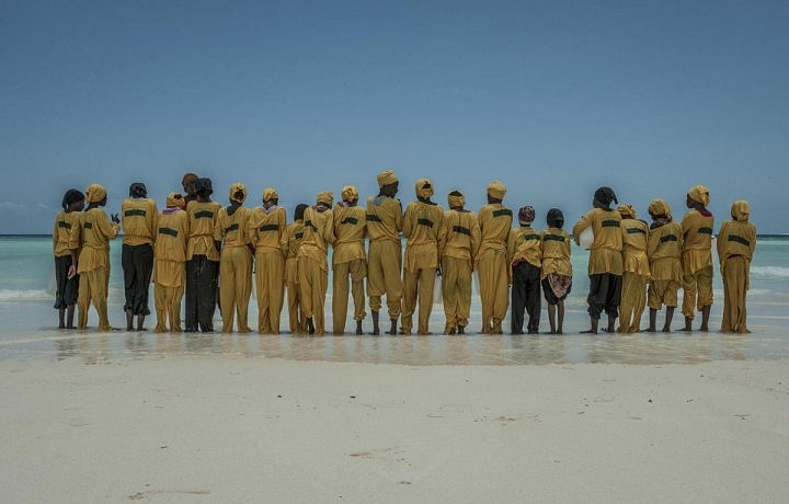 Finding Freedom in the Water