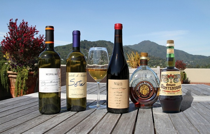Vína severovýchodní Itálie