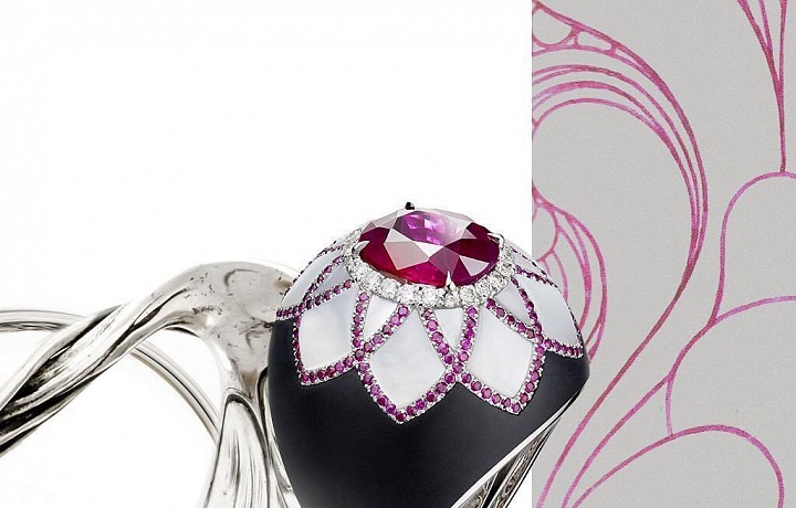 Exclusives - Strelitzia