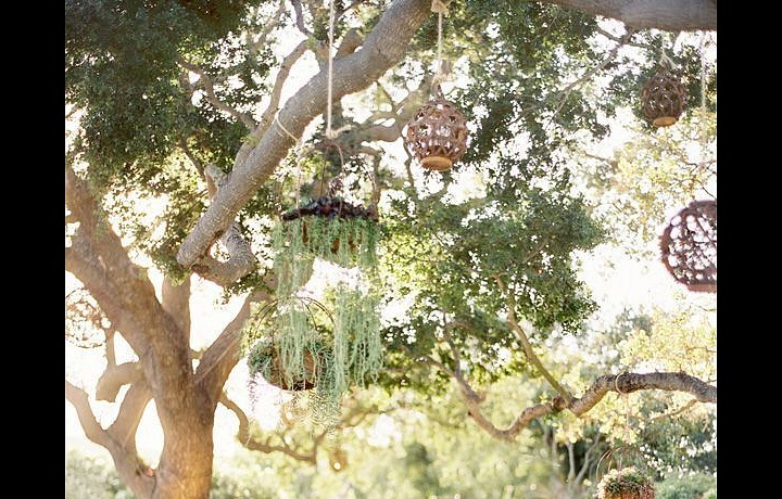 Svatba Santa Barbarra