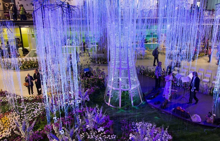 Dechberoucí hra světel v hlavní expozici Strom života. 