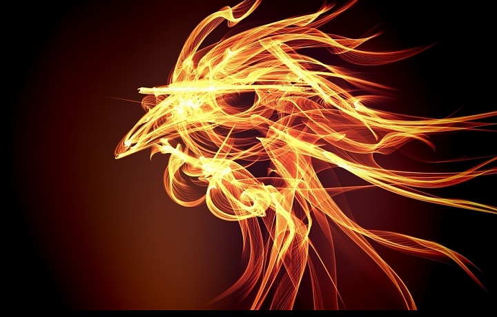 Přivítejme rok Ohnivého kohouta