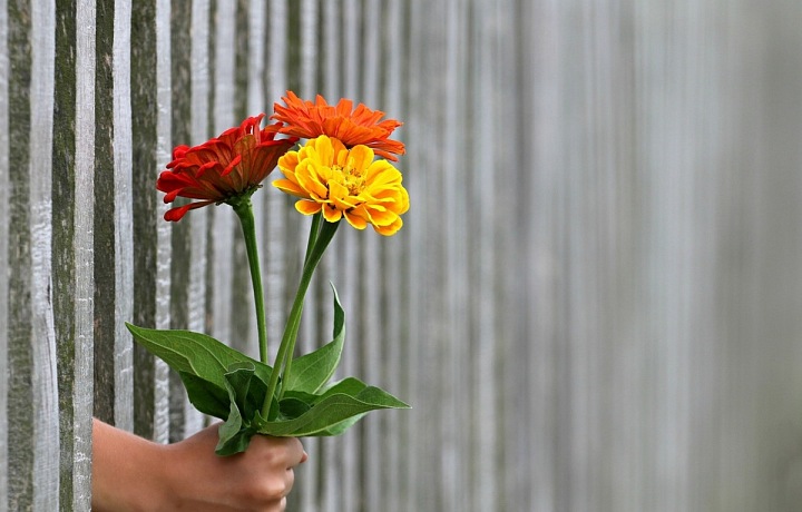 Květinou nikdy ženu neurazíš