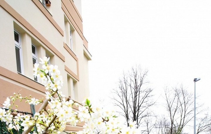 Krásné bydlení na Břevnově