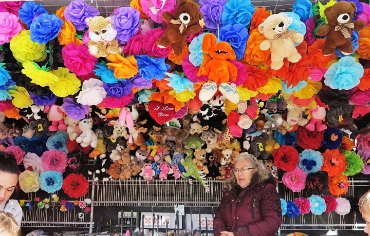 Vystřelte si růži!