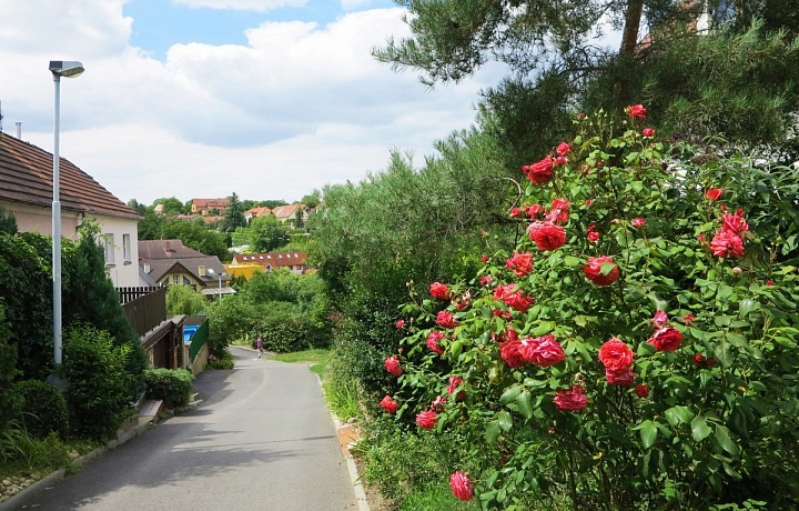 Malebná zákoutí Starého Suchdola