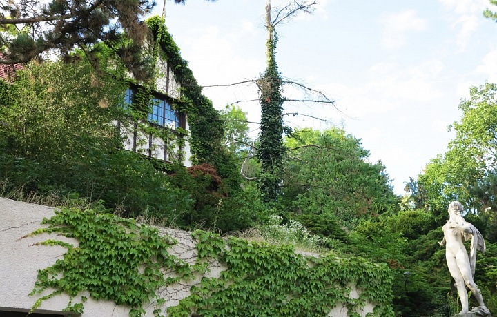 Bydlení v luxusních vilách