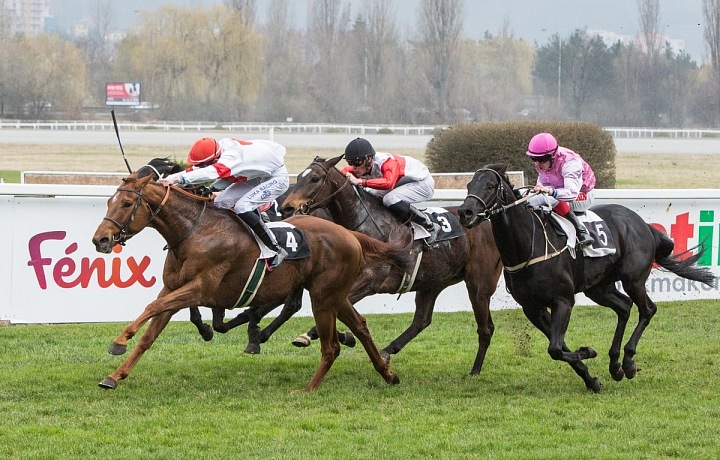 Dostihy Velká Chuchle 