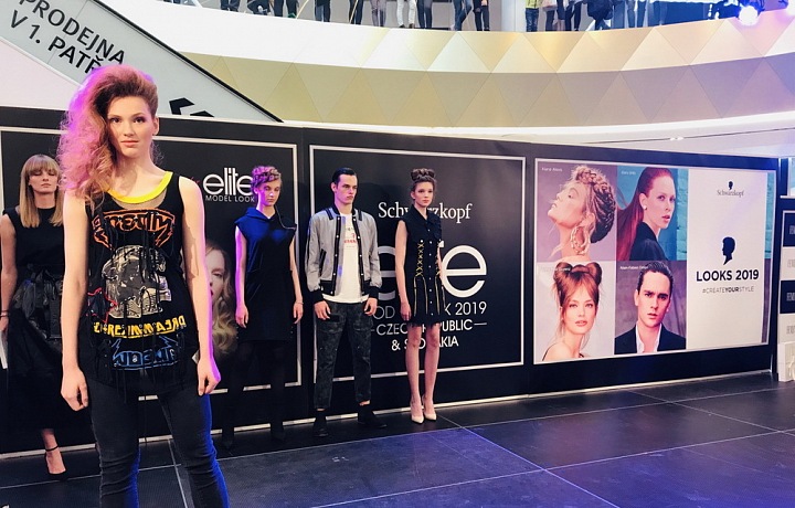 Dívky i chlapci se předvedli před zkušenými experty.