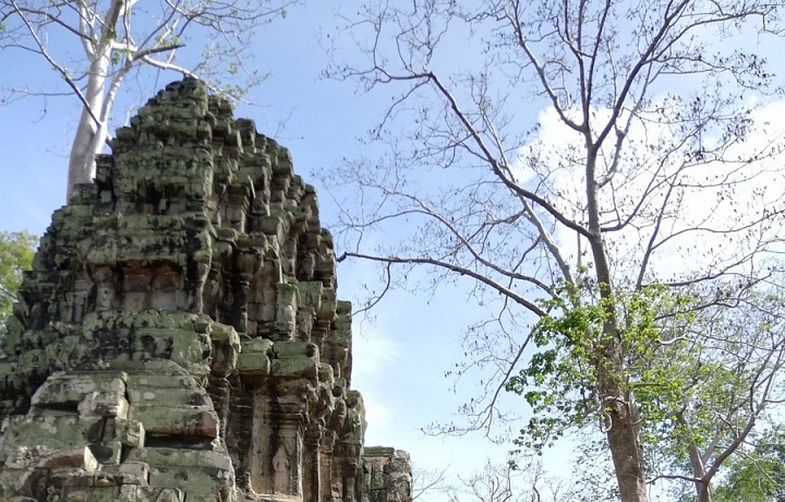 Ta Prohm
