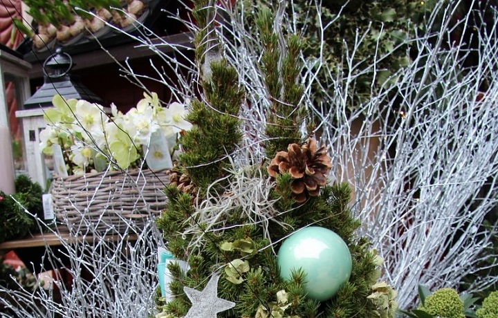 Květinářství Metamorphosis