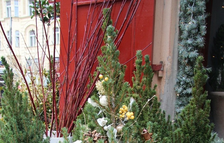 Květinářství Metamorphosis