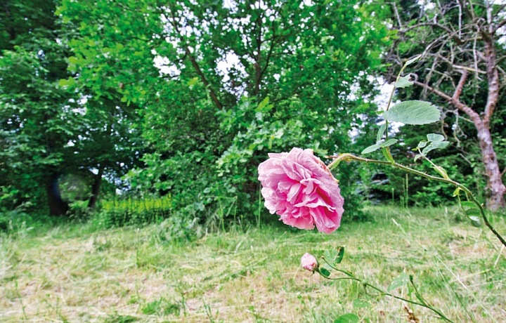 V okolí je mnoho přírody