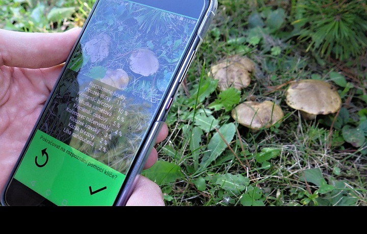 Do lesa s aplikací "Na houby" 