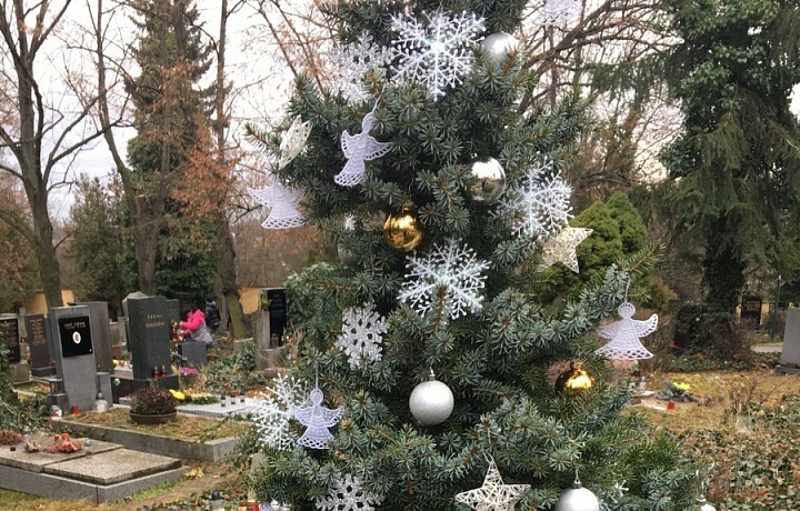 Karel Vánoce miloval, proto u místa jeho odpočinku nechybí stromeček. 