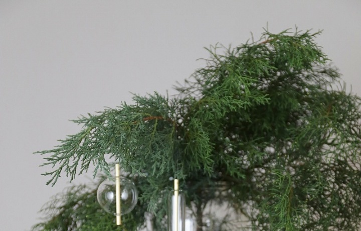 Vánoce v pojetí studia Muck