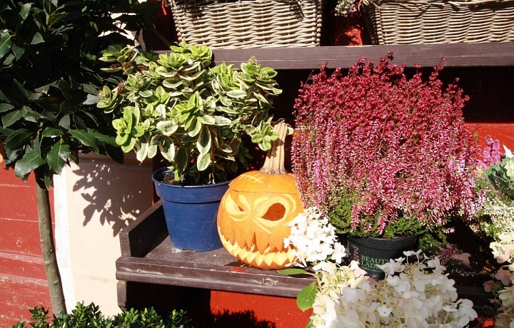 Halloweenská dekorace z Metamorphosis