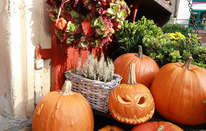 Halloweenská dekorace z Metamorphosis