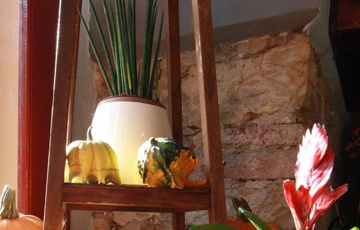 Halloweenská dekorace z Metamorphosis