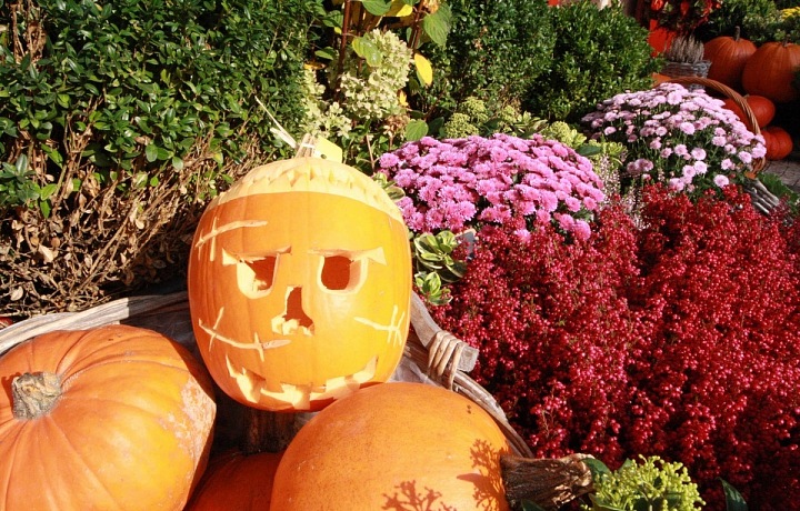 Halloweenská dekorace z Metamorphosis