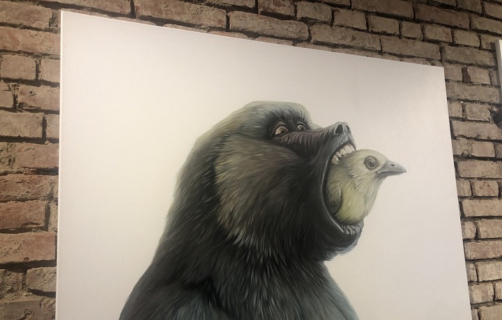 Všude dobře, jinde líp