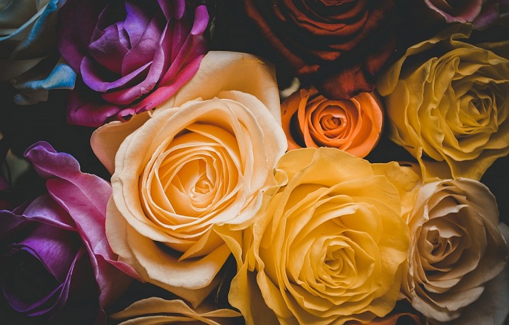 Když dostane ženská kytku, rozplývá se blahem. 