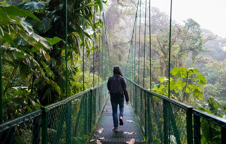 Kostarika je plná zeleně.