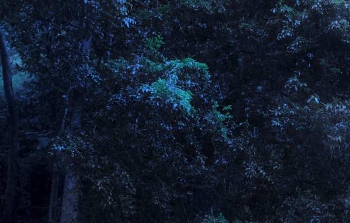 Podzimní/zimní kolekce FW18 GRACE. 