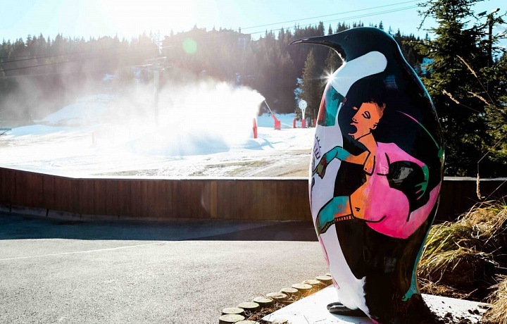 Tučňák Juliena Marinetti