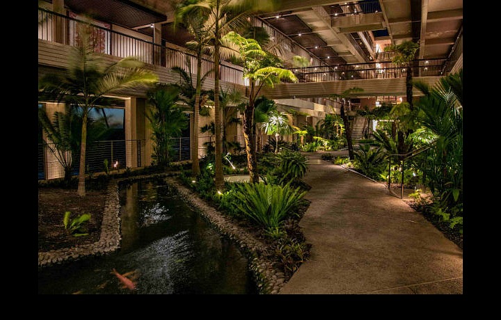 všudypřítomná zeleň