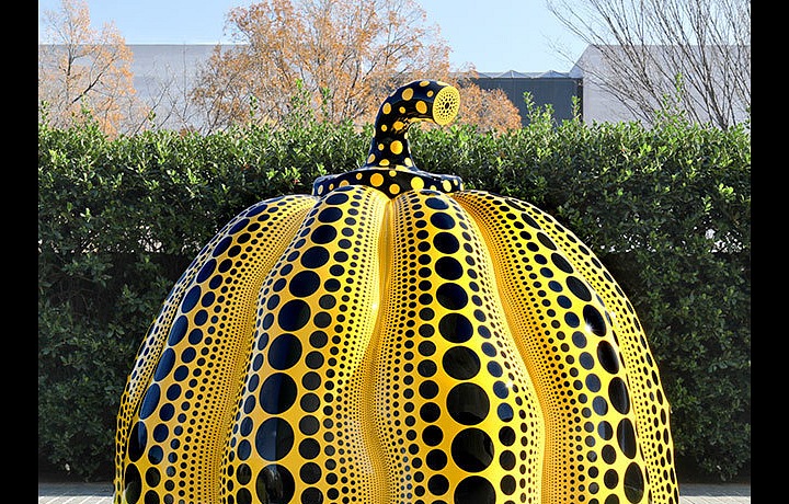 Pumpkin -  Hirshhorn Museum