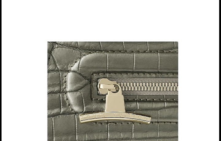 Louis Vuitton Crocodilian 