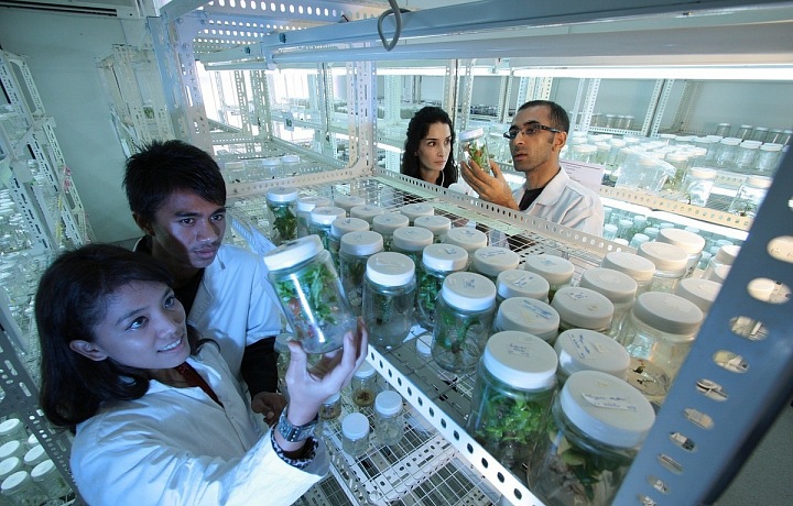 Genová banka se chlubí 45 tisíci druhy semen. 