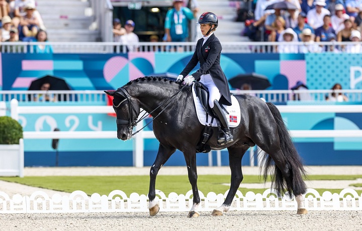 Letní olympijské hry Paříž 2024, drezura